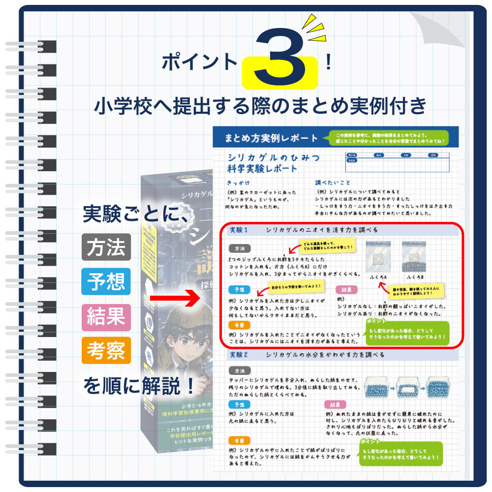 理科の比較実験ファイル 自由研究キット