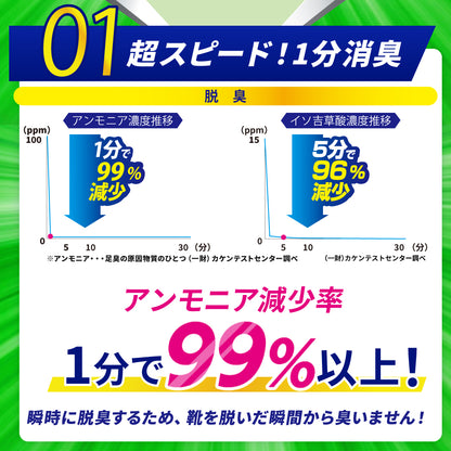 履く脱臭剤　シートタイプ