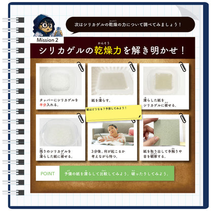 理科の比較実験ファイル 自由研究キット